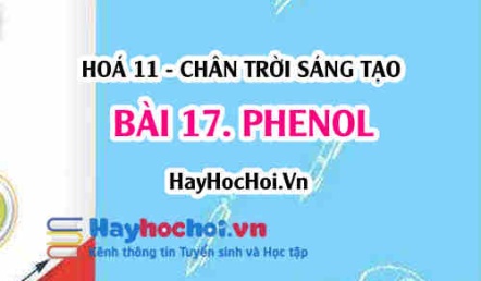 Phenol là gì, tính chất hoá học, tính chất vật lí của Phenol, điều chế và ứng dụng? Hoá 11 chân trời bài 17